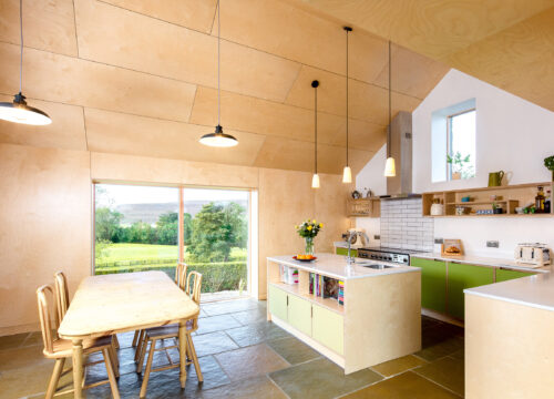 harper-perry-architects-housing-barn-westerdale-north-yorkshire-interior-plywood-kitchen-island